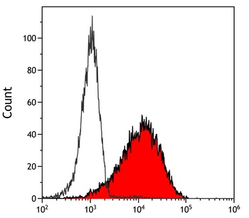 Rabbit anti-PU.1 Recombinant Monoclonal Antibody [BLR179J]