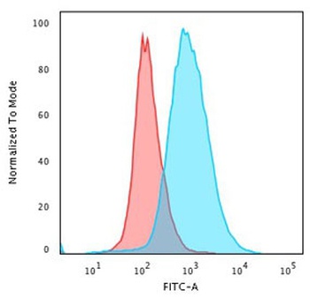 CD28 Antibody [204.12]